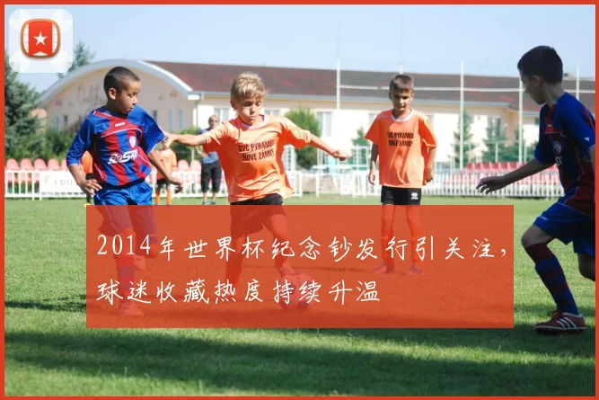 2014年世界杯纪念钞发行引关注，球迷收藏热度持续升温