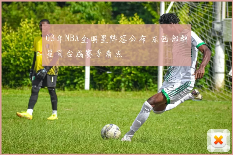 03年NBA全明星阵容公布 东西部群星同台成赛季看点