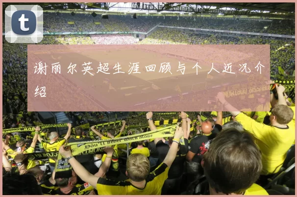 谢丽尔英超生涯回顾与个人近况介绍