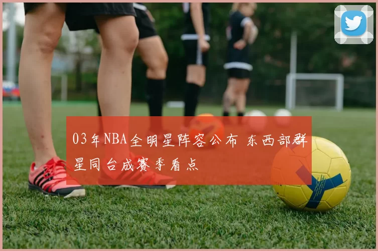 03年NBA全明星阵容公布 东西部群星同台成赛季看点