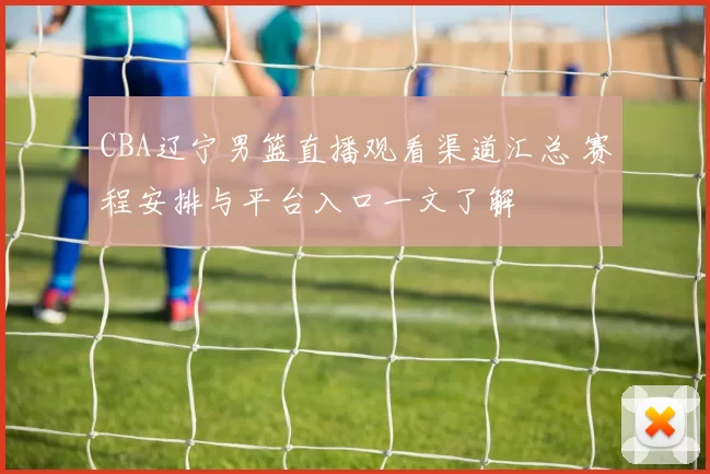 CBA辽宁男篮直播观看渠道汇总 赛程安排与平台入口一文了解