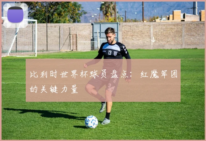 比利时世界杯球员盘点：红魔军团的关键力量