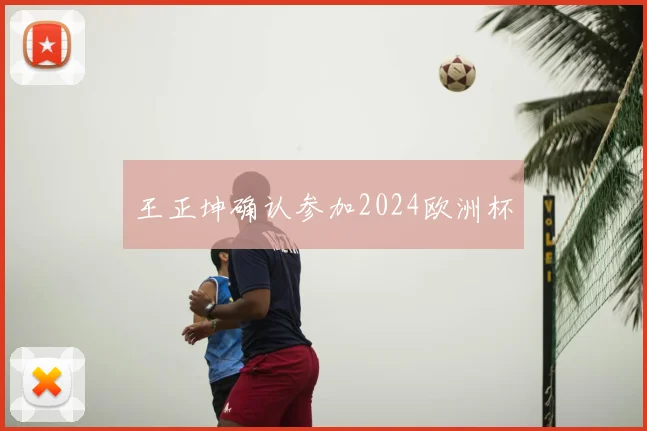 王正坤确认参加2024欧洲杯